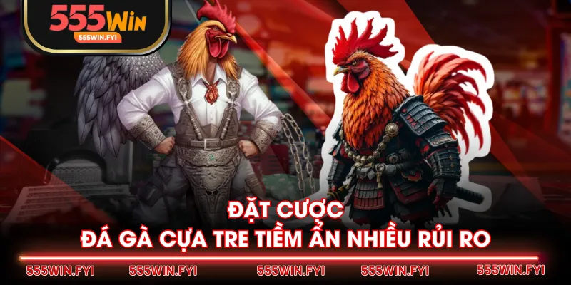 Đặt cược đá gà cựa tre tiềm ẩn nhiều rủi ro