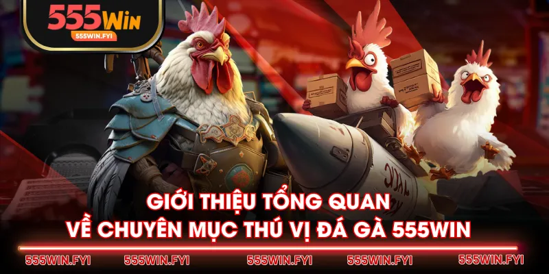 Giới thiệu tổng quan về chuyên mục thú vị Đá Gà 555WIN